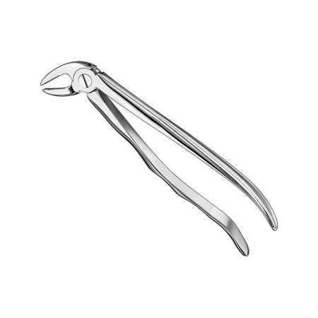 Extracting forceps, anat.